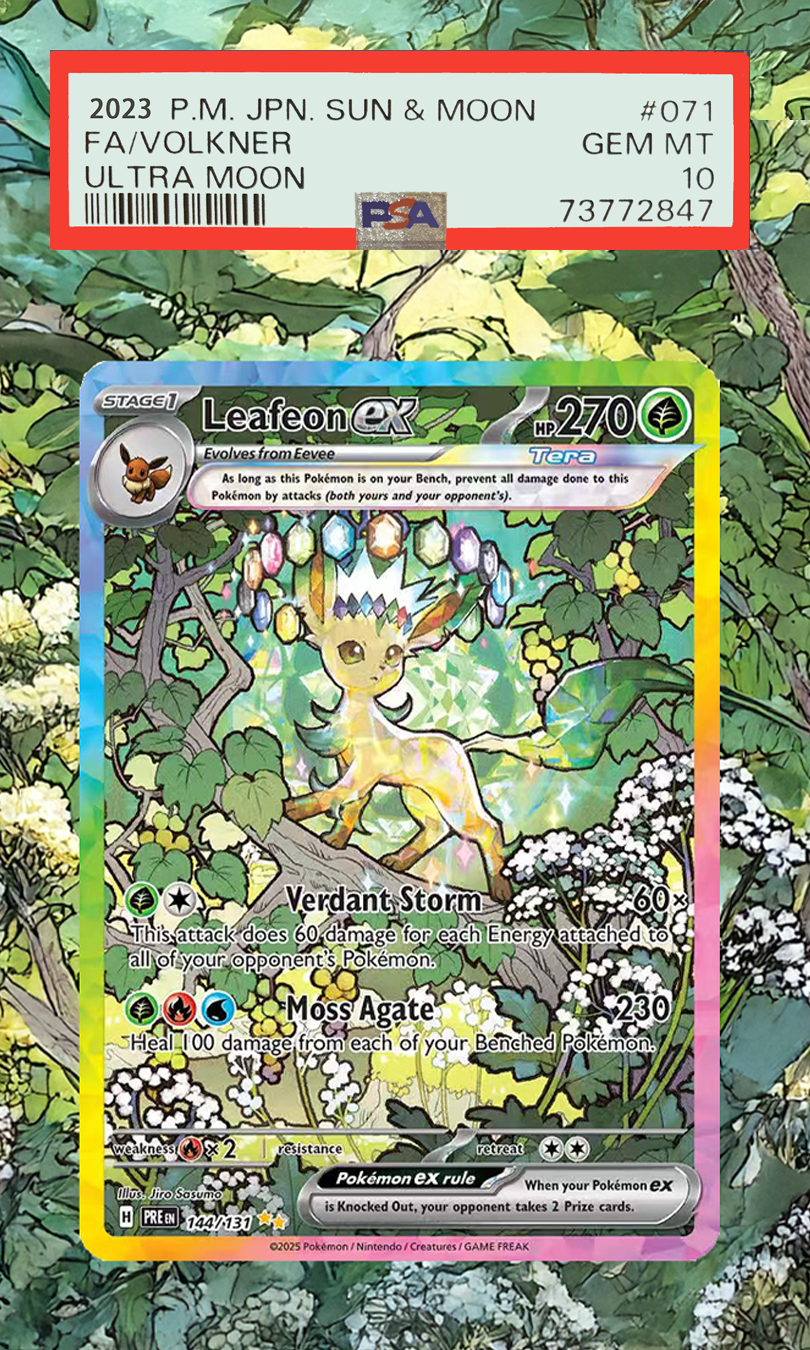 Pokemon Kartları Ekran PTCG Le - Display Case Acrylic incelemesi ve fiyatı
