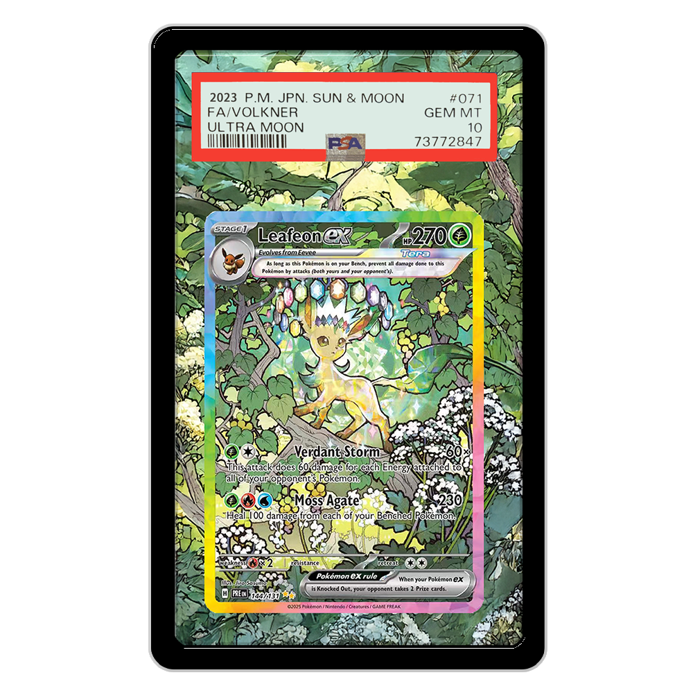 Pokemon Kartları Ekran PTCG Le - Display Case Acrylic incelemesi ve fiyatı