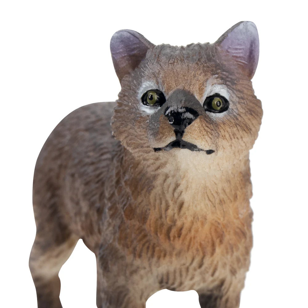 Toymany Simülasyon Ayakta Gri  - Action Figure Stand incelemesi ve fiyatı
