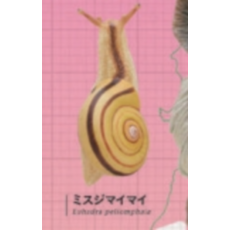 Japonya Ikimon Gashapon Kapsül - Capsule Toy Gashapon incelemesi ve fiyatı